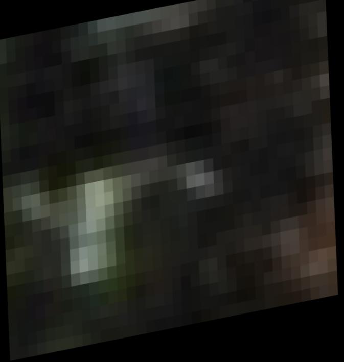 Dataset Image