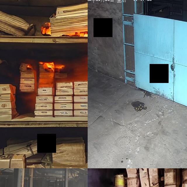 Dataset Image
