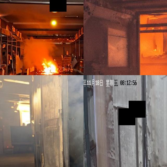 Dataset Image