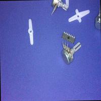 Dataset Image