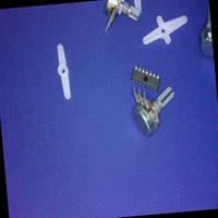 Dataset Image