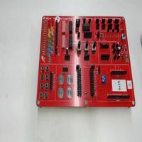 Dataset Image