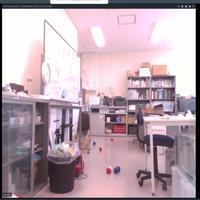 Dataset Image