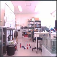 Dataset Image