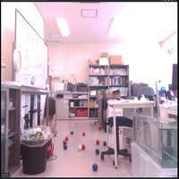 Dataset Image