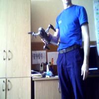Dataset Image