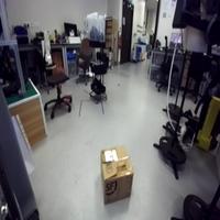 Dataset Image