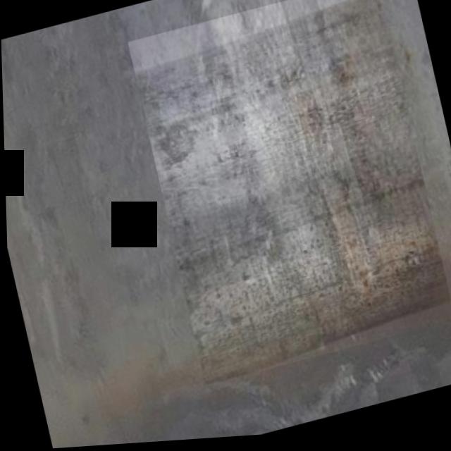 Dataset Image