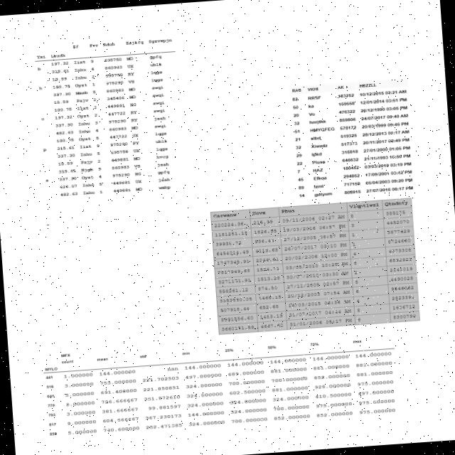 Dataset Image