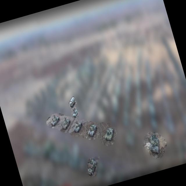 Dataset Image