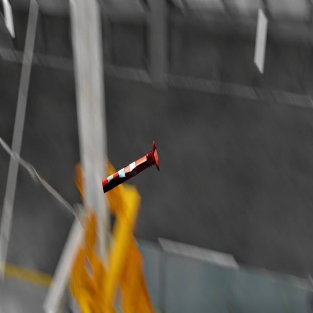 Dataset Image