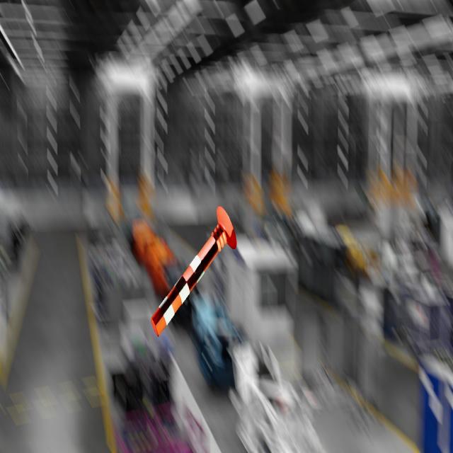Dataset Image