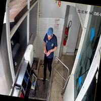 Dataset Image