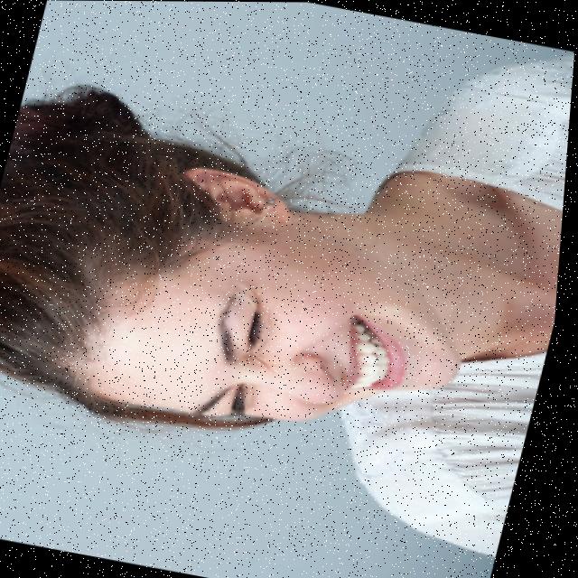 Dataset Image