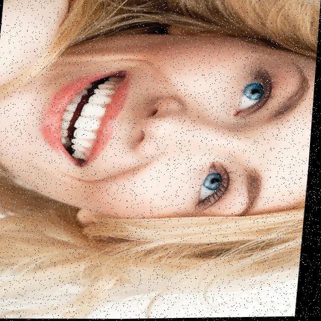 Dataset Image
