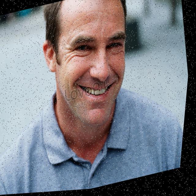 Dataset Image