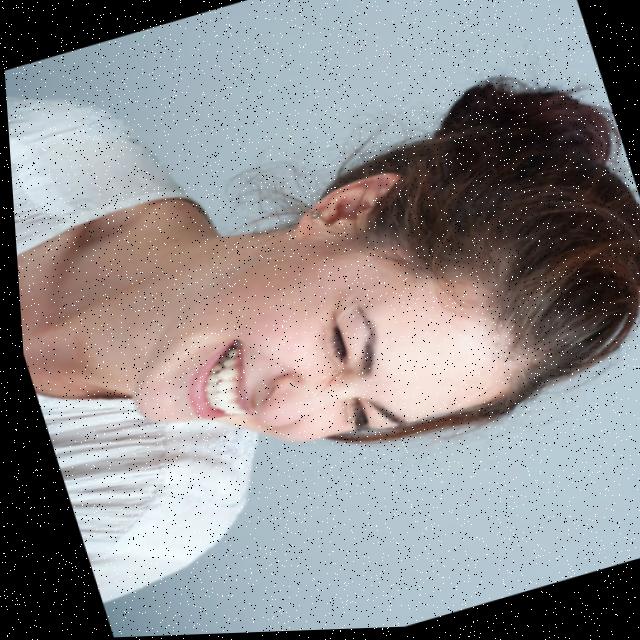 Dataset Image
