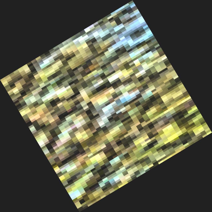 Dataset Image