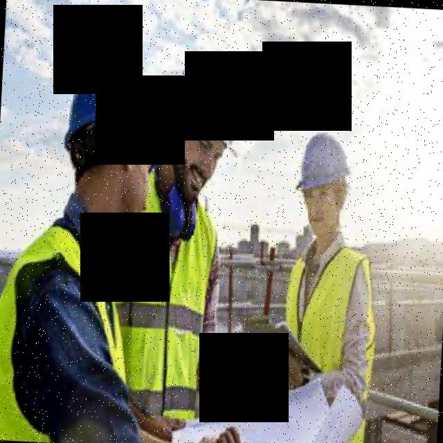 Dataset Image