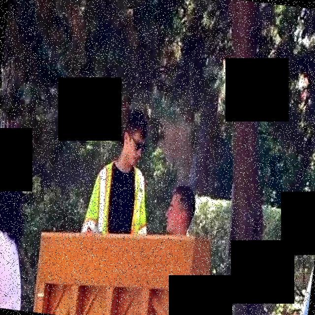 Dataset Image
