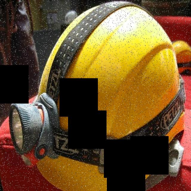 Dataset Image