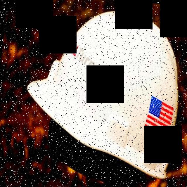Dataset Image
