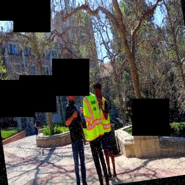 Dataset Image