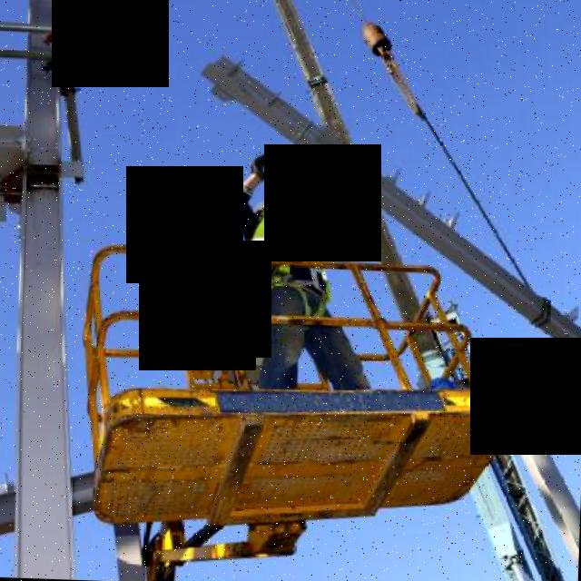 Dataset Image