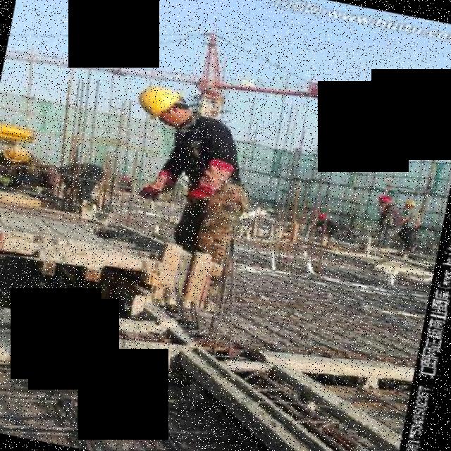 Dataset Image