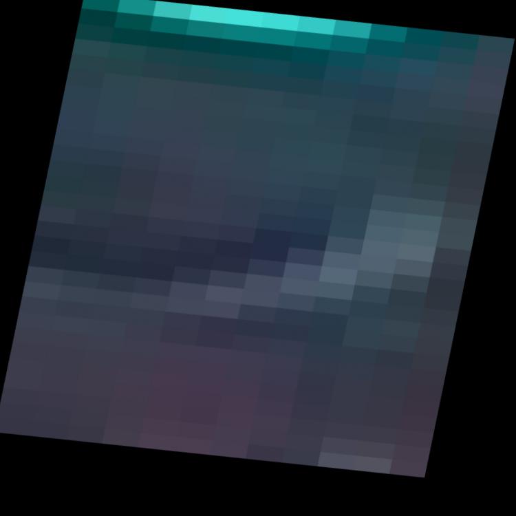 Dataset Image