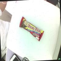 Dataset Image