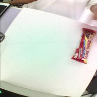 Dataset Image