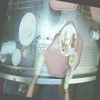 Dataset Image