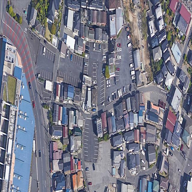 Dataset Image