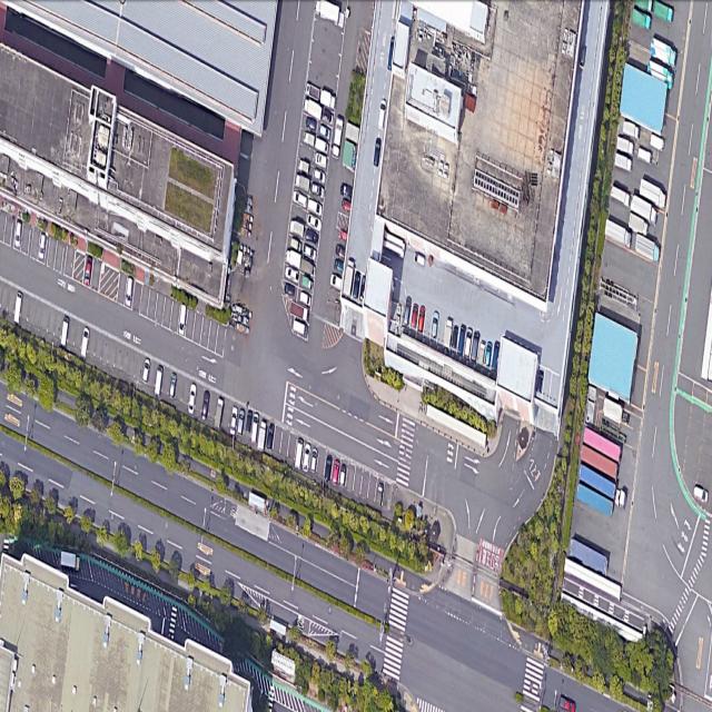 Dataset Image