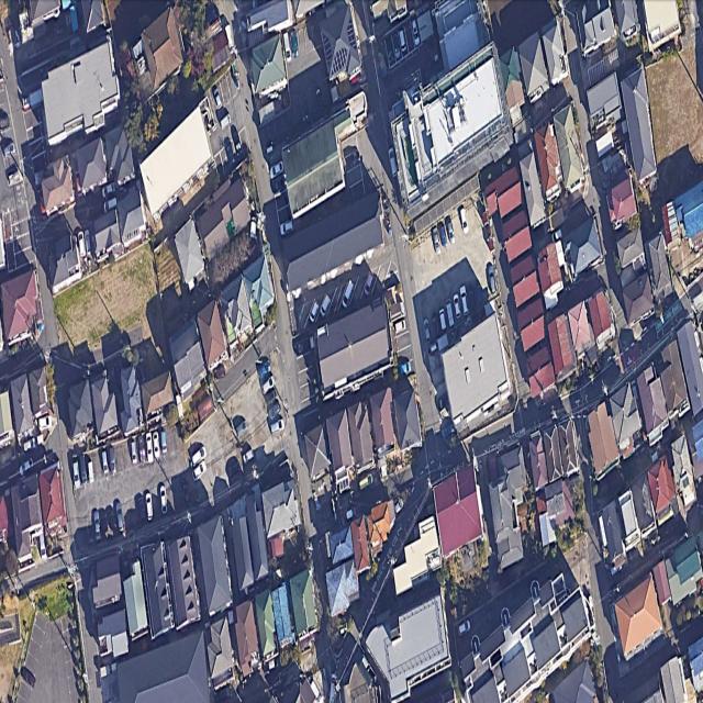 Dataset Image