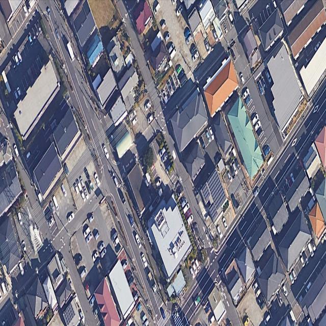 Dataset Image