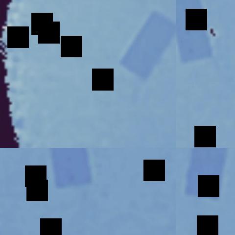 Dataset Image