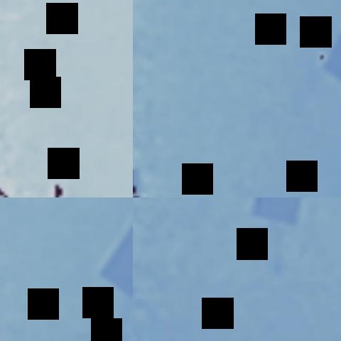 Dataset Image