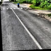 Dataset Image