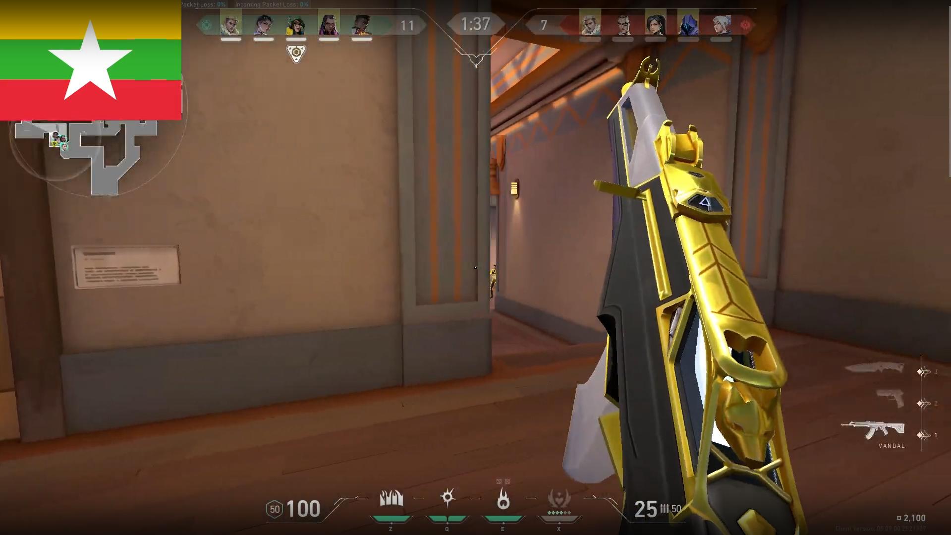 Dataset Image