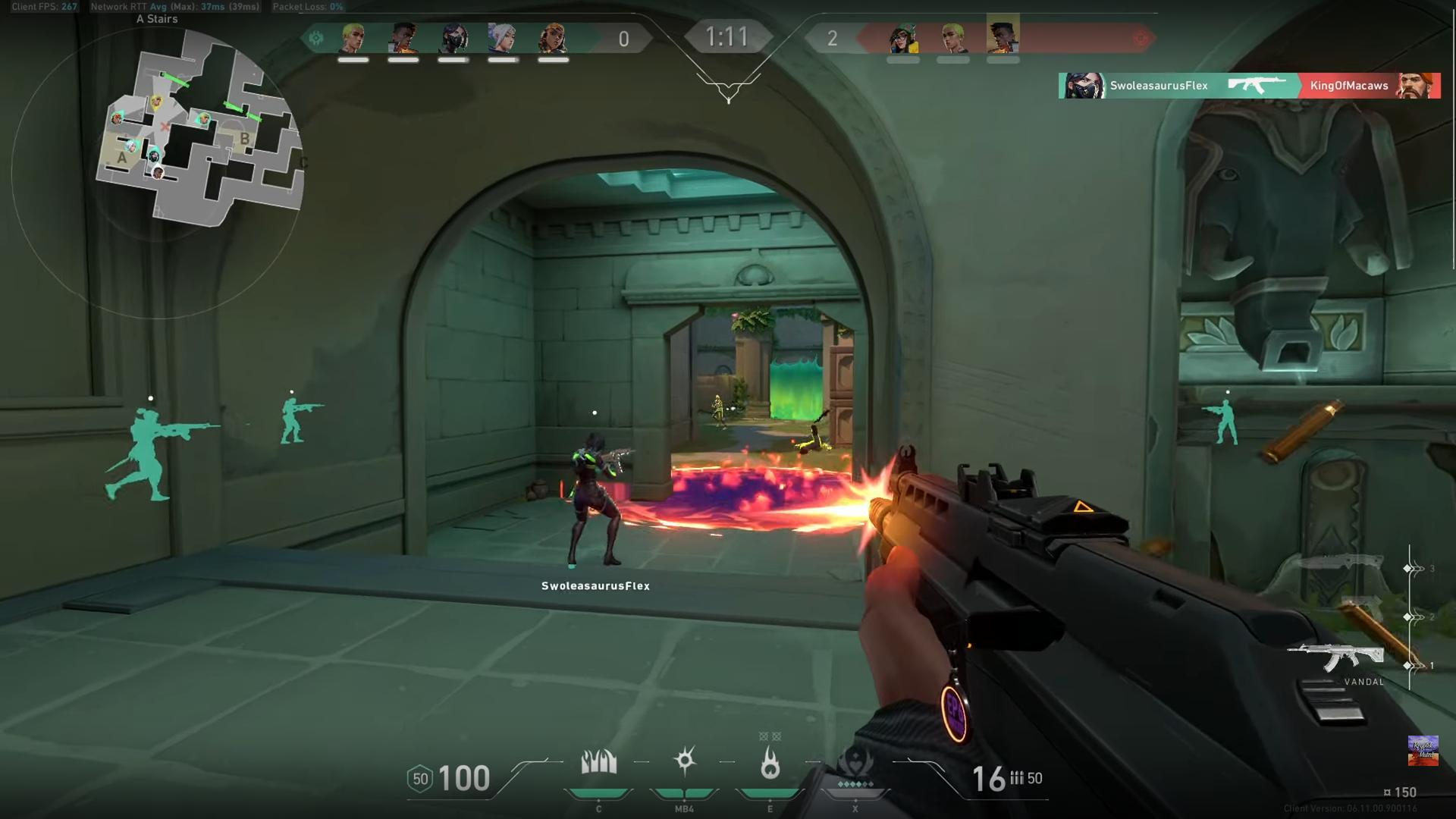 Dataset Image
