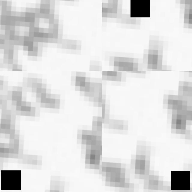 Dataset Image