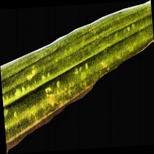 Dataset Image