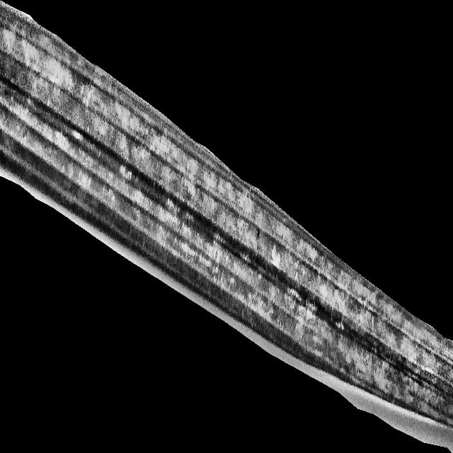 Dataset Image