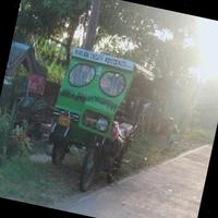 Dataset Image