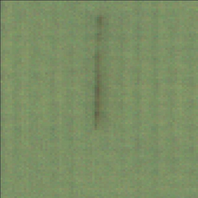 Dataset Image