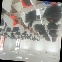 Dataset Image