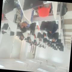Dataset Image