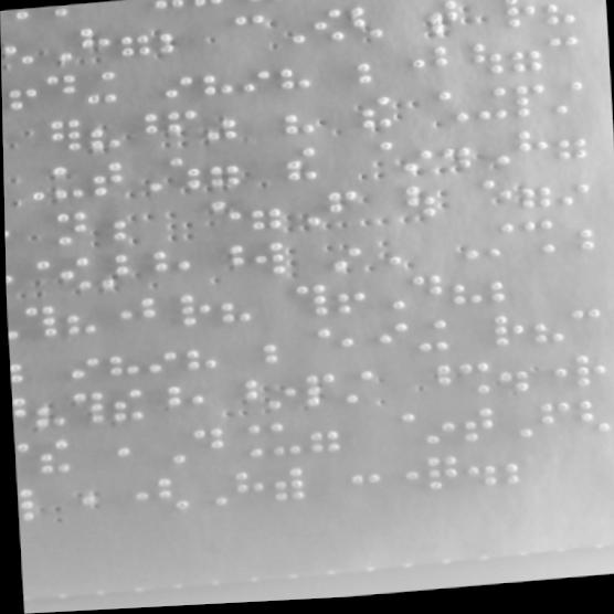 Dataset Image